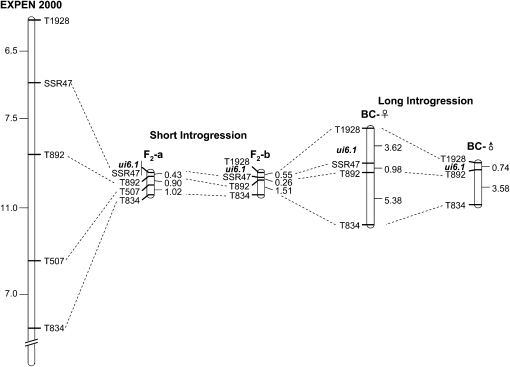 Figure 5.—