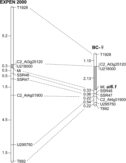 Figure 7.—