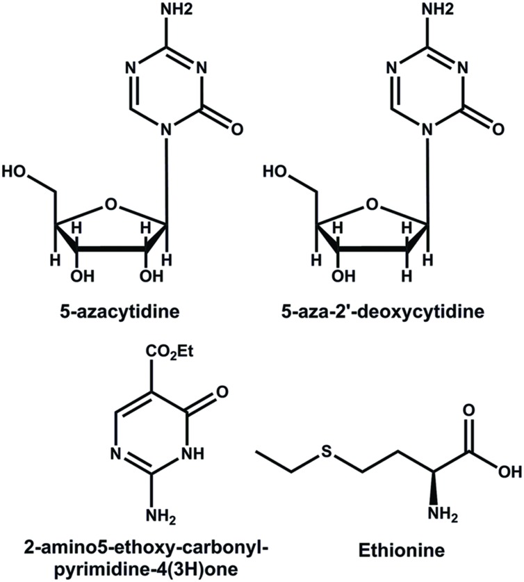 FIGURE 3