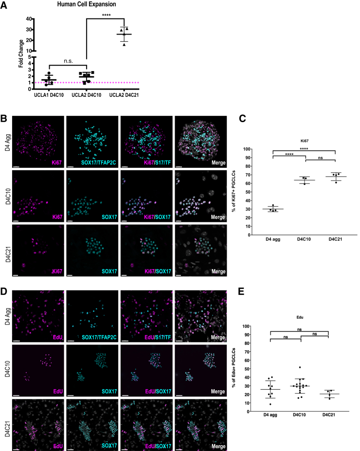 Figure 3