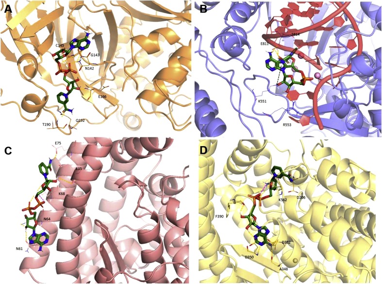 Fig. 7