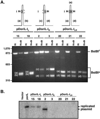 FIG. 3.