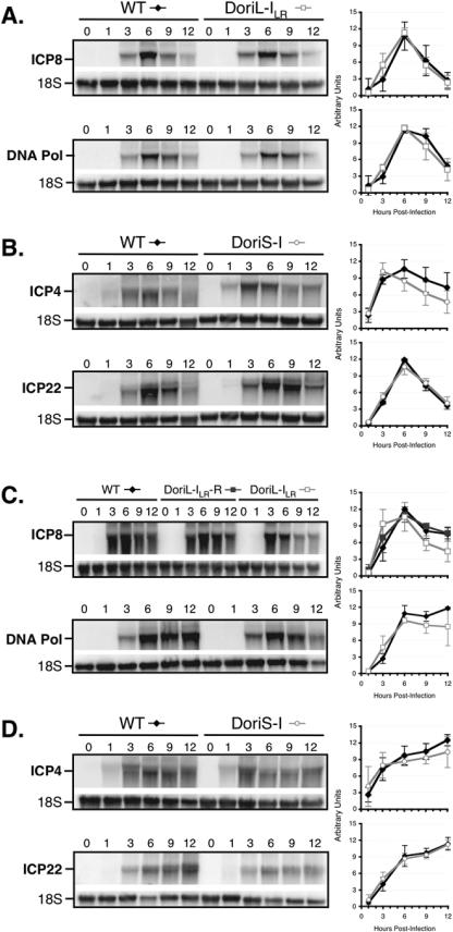 FIG.6.