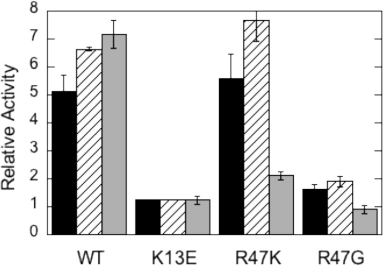 FIGURE 4.