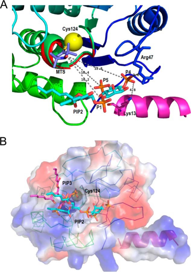 FIGURE 9.