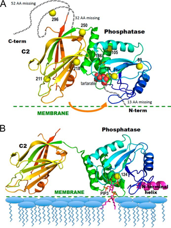 FIGURE 1.