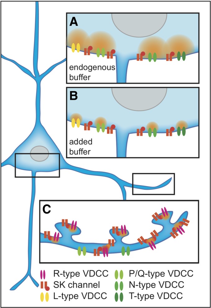 Fig. 1.