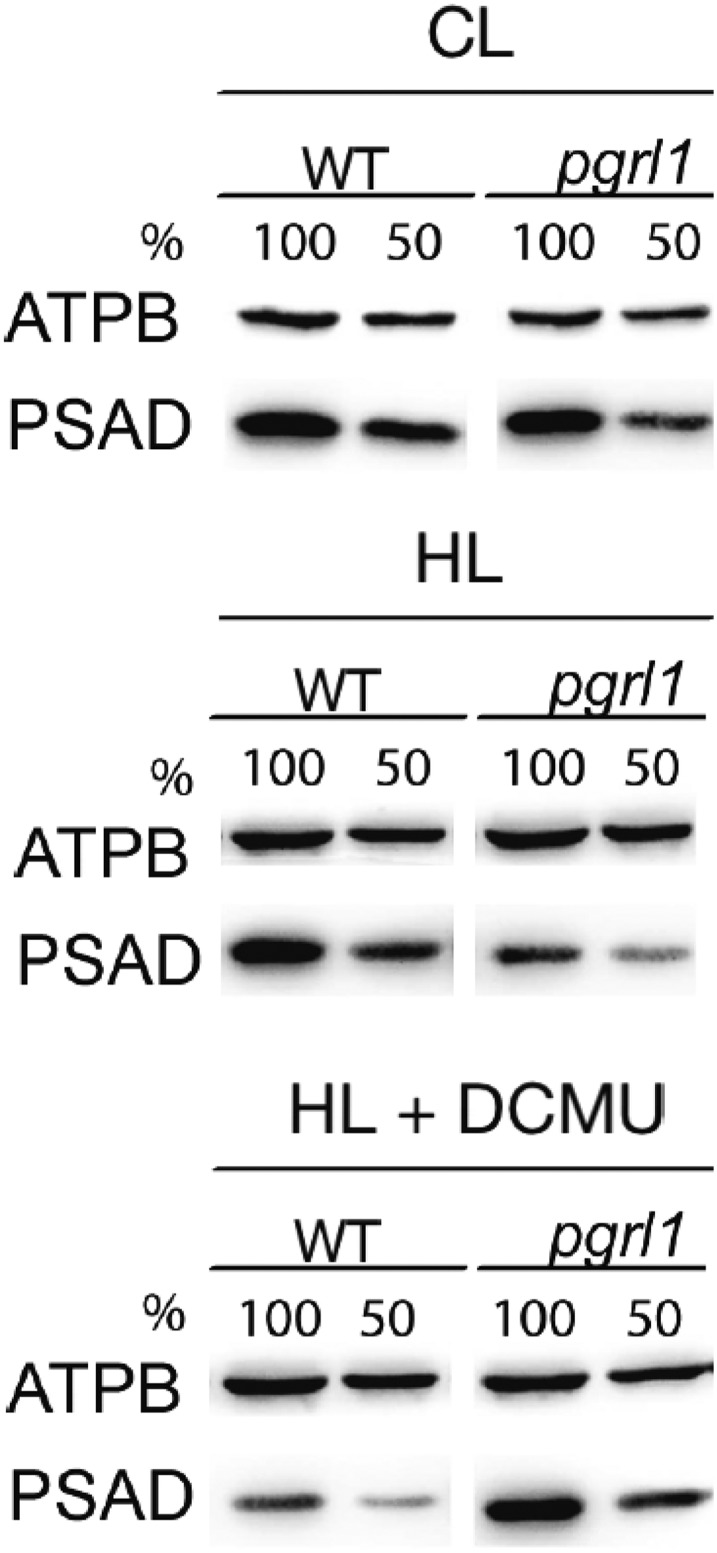 Figure 7.