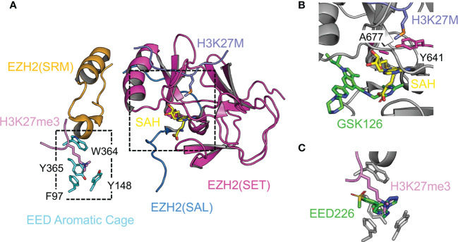 Figure 6