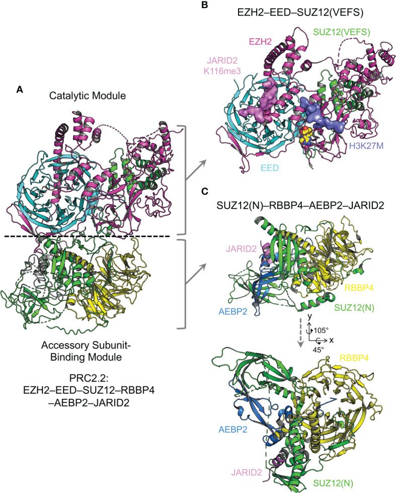 Figure 3