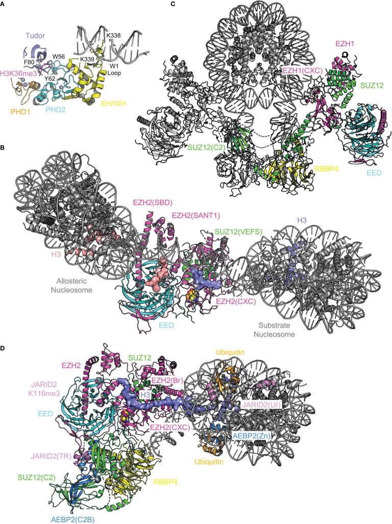 Figure 7