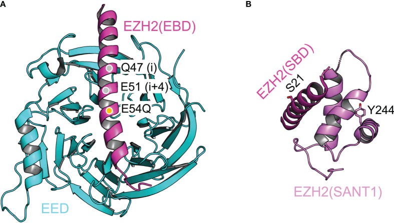 Figure 4