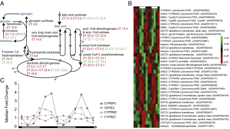 Fig. 4.