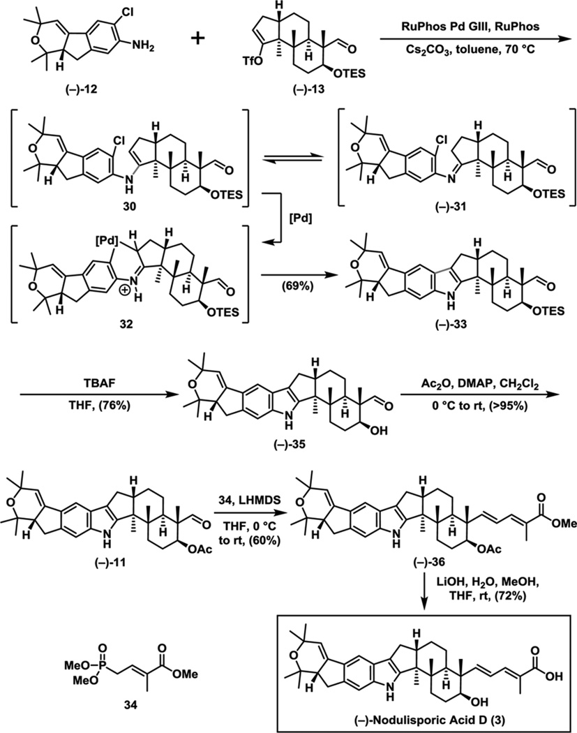 Scheme 6