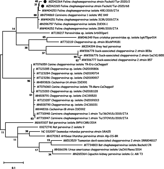 Fig. 2