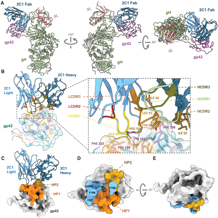 Figure 3