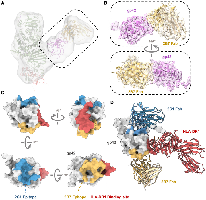 Figure 4