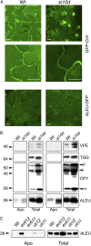 Figure 4.