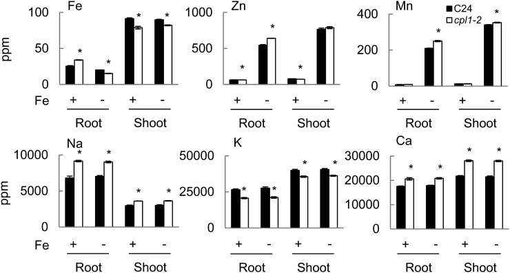 Figure 6.