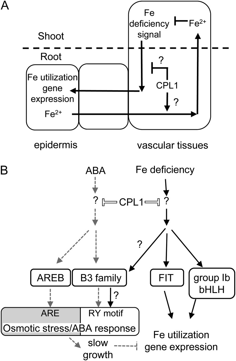 Figure 12.