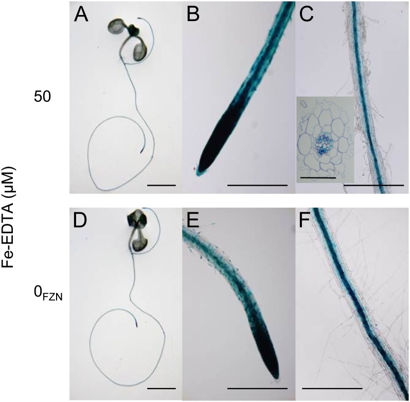 Figure 10.