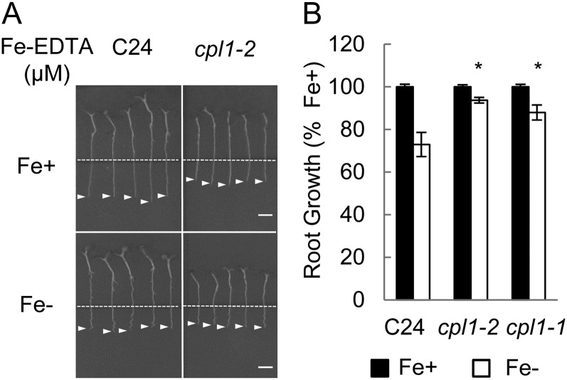 Figure 7.