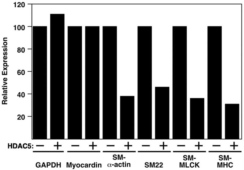 FIG. 11.