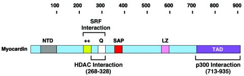 FIG. 12.