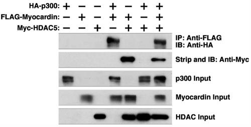 FIG. 9.