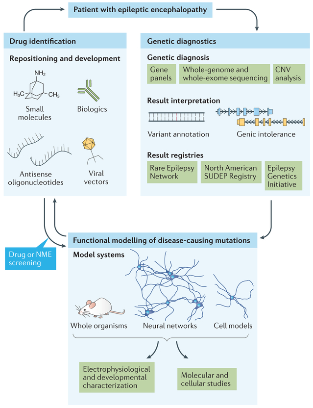 Figure 2 |