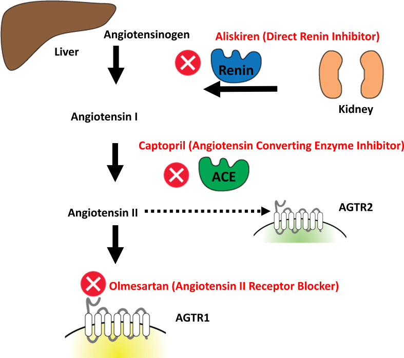 Figure 2—figure supplement 1.