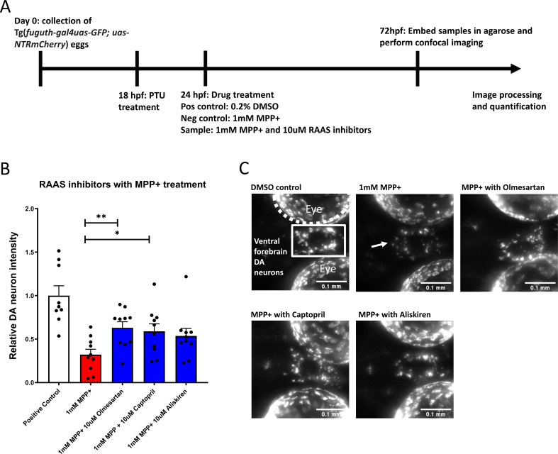 Figure 4—figure supplement 2.