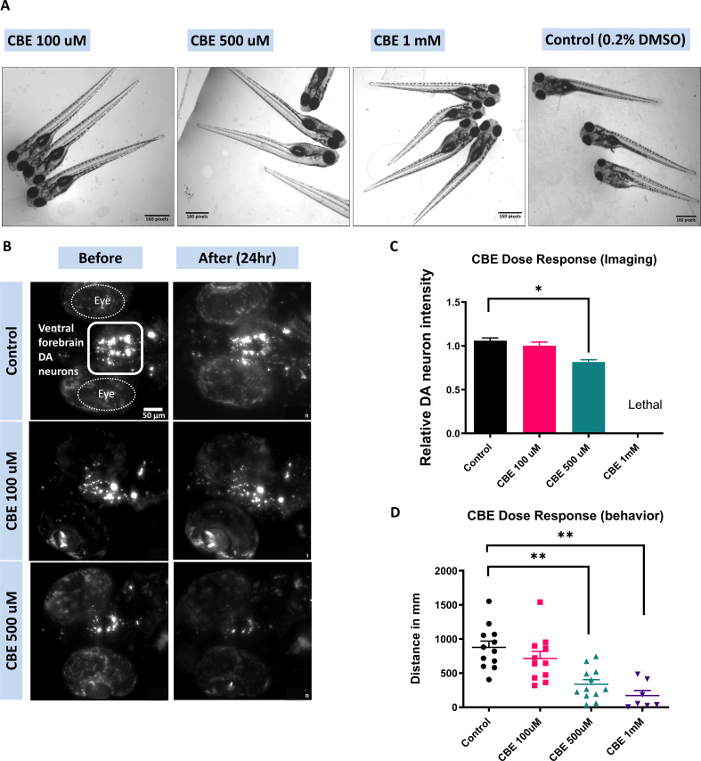 Figure 4—figure supplement 1.