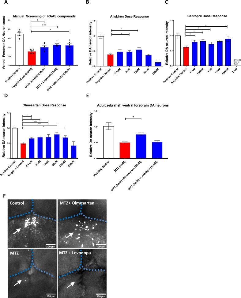 Figure 2—figure supplement 2.