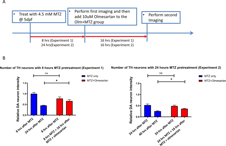 Figure 2—figure supplement 4.