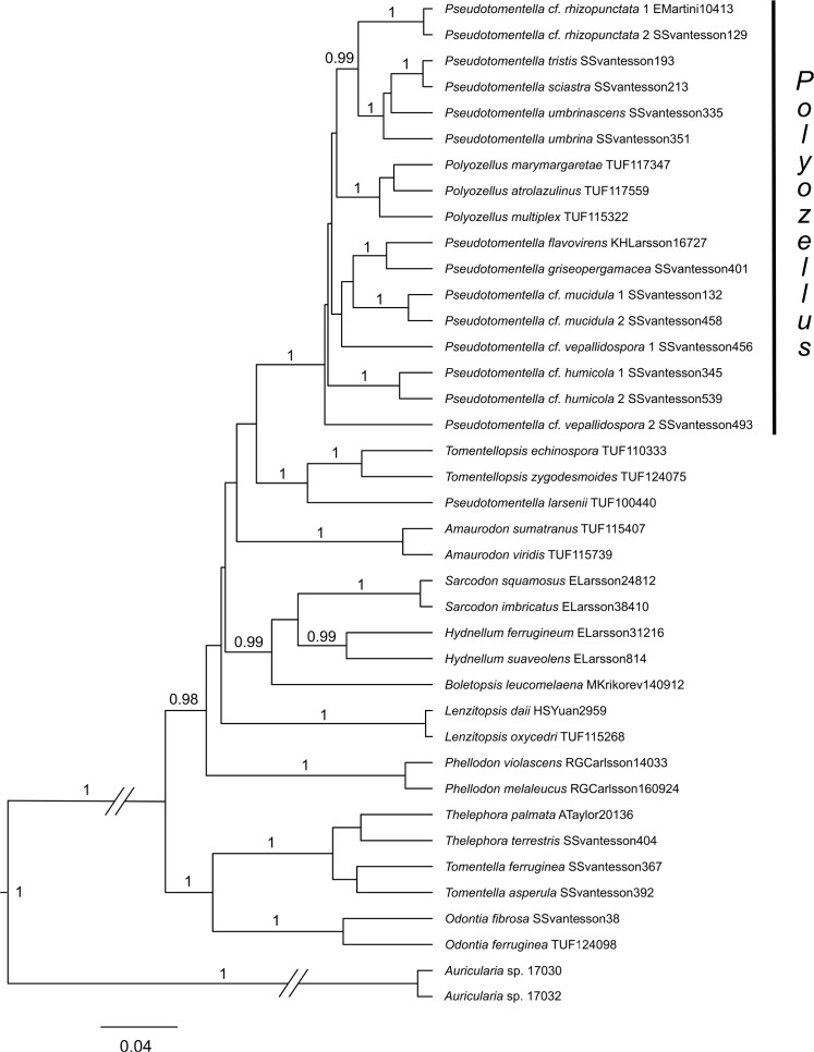 
Fig. 2.
