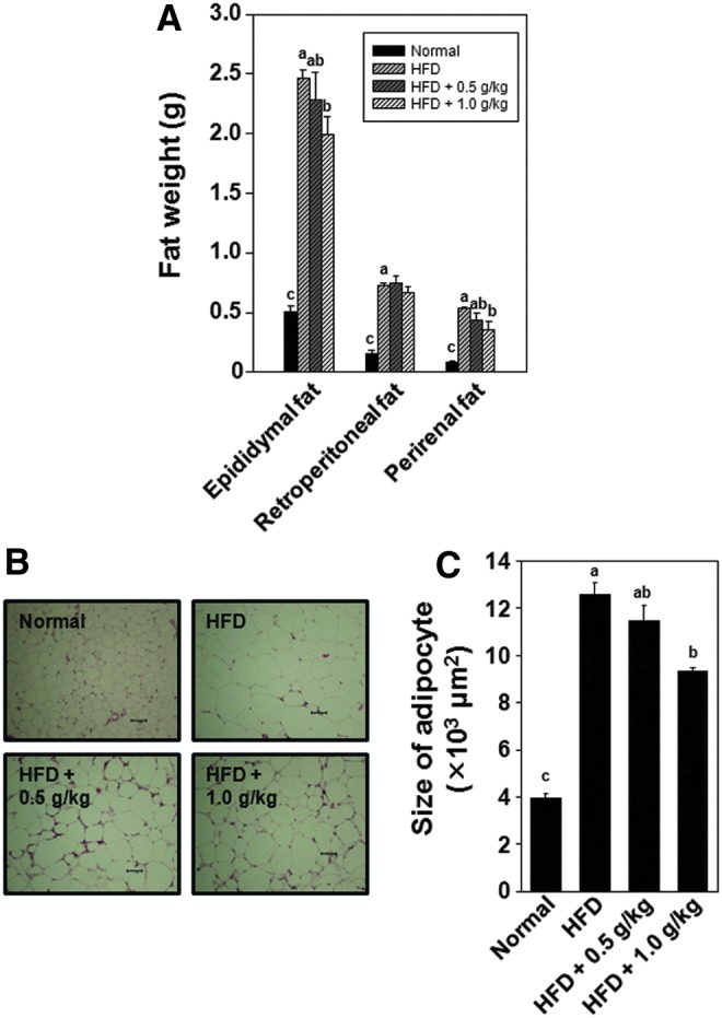 FIG. 4.