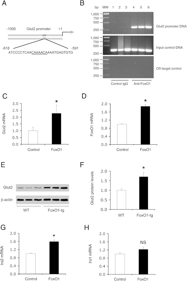 Figure 7.