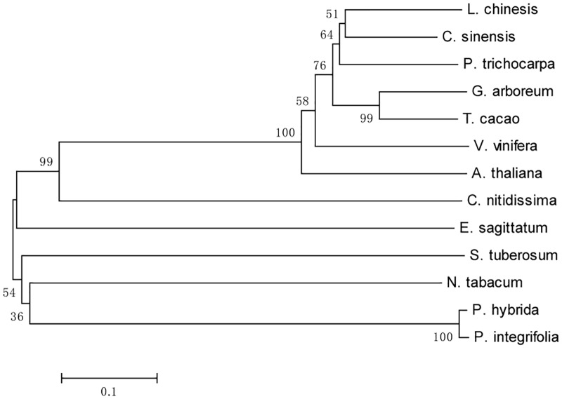 FIGURE 3