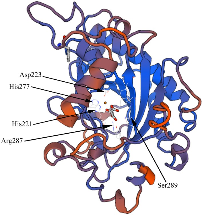 FIGURE 2