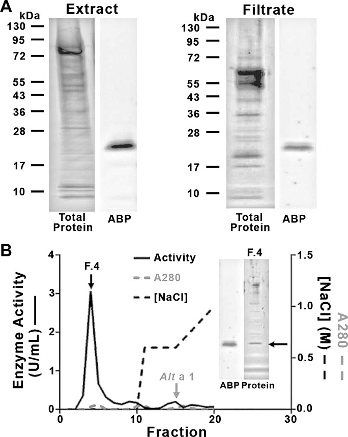 Fig. 9.