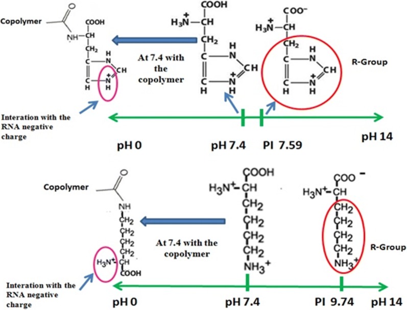 Scheme 2