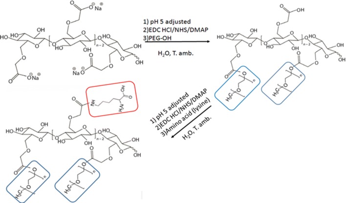 Scheme 1