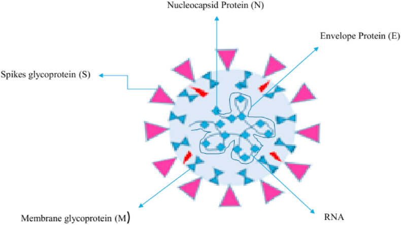 Fig. 1