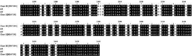 FIG. 8.