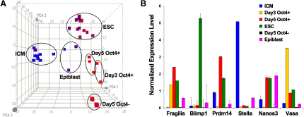 Figure 3