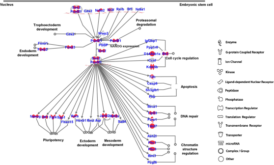 Figure 6