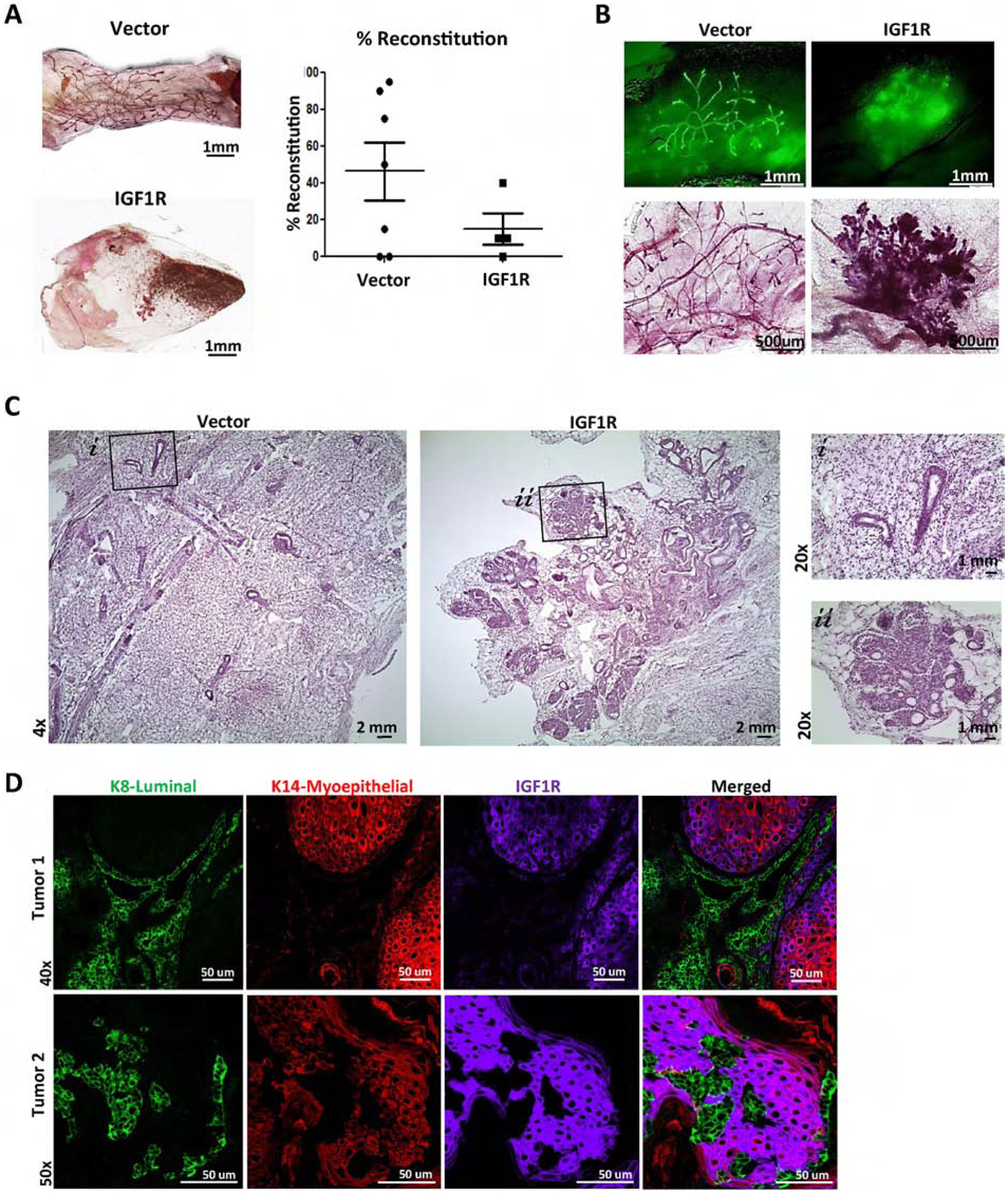 Figure 3: