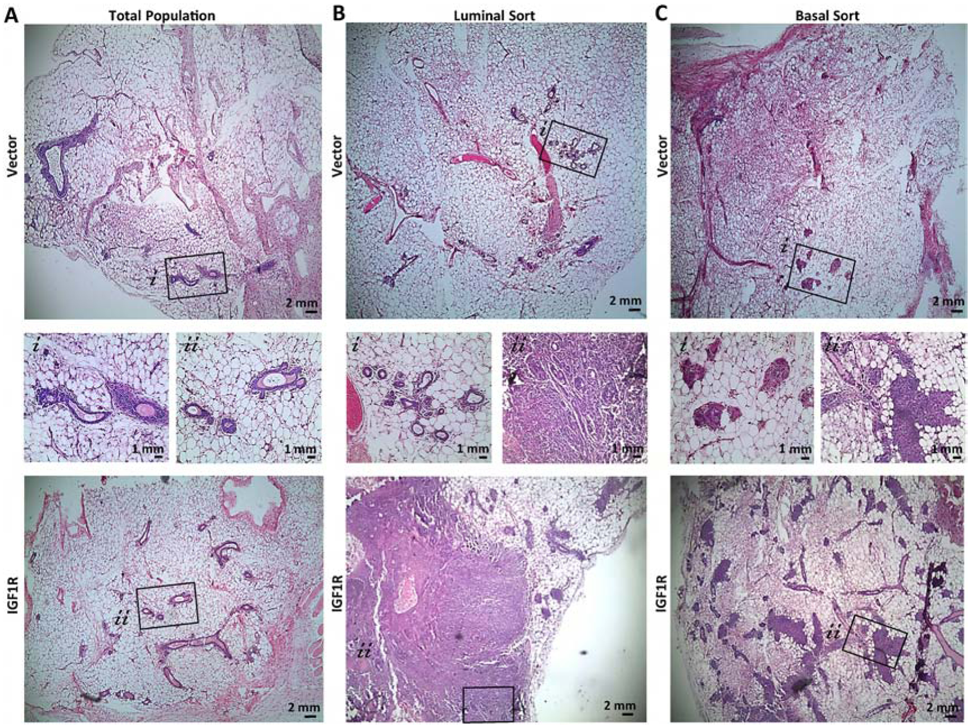 Figure 4: