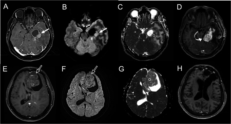 Fig. 9